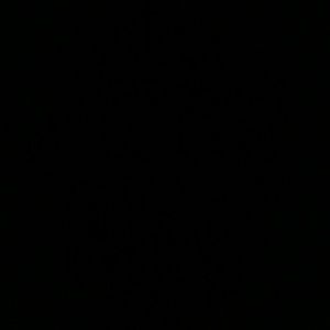 Meet your Posher, Dijonah